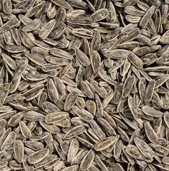 Dakota Ayçekirdeği 250 Gr 250 g